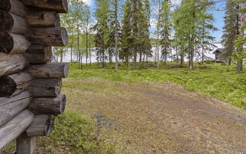 Kuontijärvi a: Naturlige Landskab, Landskab, Plantesamfund, Land Lot, Ødemark, Skov, Naturreservat, Eng