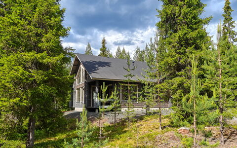 Ihtingin Koskikara: Træ, Sidespor, Sommerhus, Hus, Hjem, Planke, Garden Bygninger, Bjælkehytte, Hårdttræ, Veranda