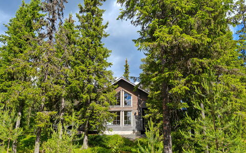 Ihtingin Koskikara: Træ, Skov, Sommerhus, Lærk, Woodland, Tropisk Og Subtropisk Nåleskov, Evergreen