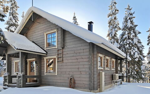 Ihtingin Koskikara: Træ, Sidespor, Sommerhus, Hus, Hjem, Planke, Garden Bygninger, Bjælkehytte, Hårdttræ, Veranda