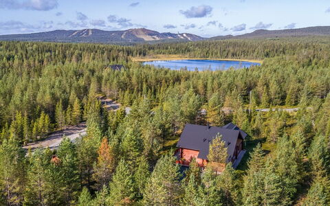 Lapinukonkäännös: Træ, Naturlige Landskab, Skov, Lærk, Woodland, Tropisk Og Subtropisk Nåleskov, Evergreen
