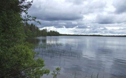Kumpulahti: Træ, Sidespor, Sommerhus, Hus, Hjem, Planke, Garden Bygninger, Bjælkehytte, Hårdttræ, Veranda