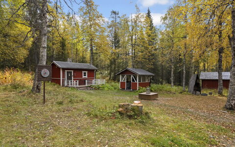Vuorimäki: Træ, Blad, Græs, Naturligt Miljø, Natur, Træ, Vegetationen, Naturlige Landskab, Sommerhus