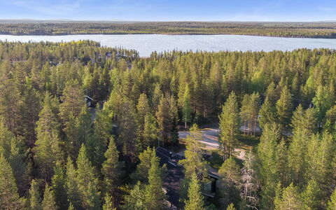 Aspilevi: Træ, Naturligt Miljø, Skov, Landskab, Økoregion, Naturreservat, Tropisk Og Subtropisk Nåleskov