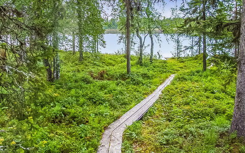 Seitsemän Savua 4: Sne, Træ, Vinter, Sommerhus, Hus, Tag, Hjem, Fryser, Bjælkehytte, Kvist