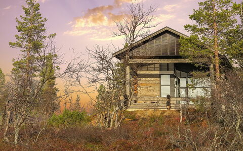 Kiehinen 2: Natur, Afdeling, Træ, Hus, Arkitektur, Sommerhus, Hjem, Landskab, Landdistrikt, Kvist