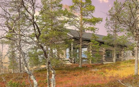 Kiehinen 2: Plantesamfund, Sommerhus, Woodland, Bjælkehytte, Skur, Garden Bygninger, Lærk, Pine Family