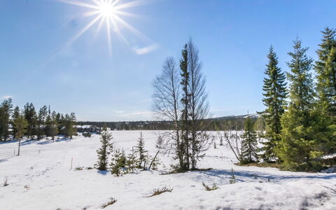 Iso-Karhu: Træ, Sidespor, Sommerhus, Hus, Hjem, Planke, Garden Bygninger, Bjælkehytte, Hårdttræ, Veranda