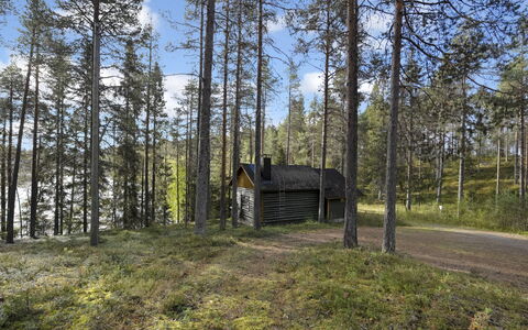 Metsämaja: Træ, Træ, Skov, Woodland, Skur, Land Lot, Bagagerum, Plantesamfund, Sommerhus