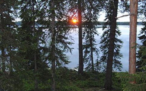 Rantapuro: Træ, Ødemark, Skov, Bagagerum, Woodland, Lærk, Northern Løvskov, Naturreservat