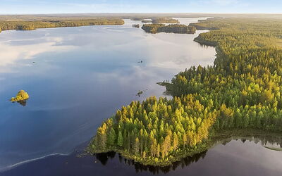 Virsuniemi