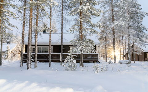 Nurmennunnu: Træ, Sne, Vinter, Sommerhus, Fryser, Hjem, Bjælkehytte, Lærk, Sidespor