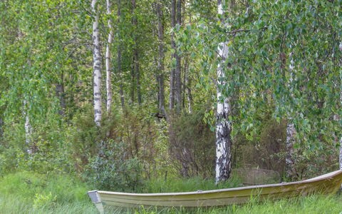 Pilkkaniemi: Sommerhus, Hus, Hjem, Garden Bygninger, Sidespor, Bjælkehytte, Stuehus, Estate, Skur, Gård