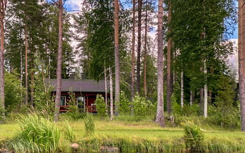 Kallioniemi: Træ, Naturlige Landskab, Bank, Skov, Plantesamfund, Woodland, Sommerhus, Sø