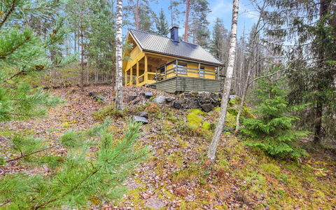 Mirus: Træ, Sommerhus, Bjælkehytte, Skov, Skur, Garden Bygninger, Lærk, Woodland, Bejdse