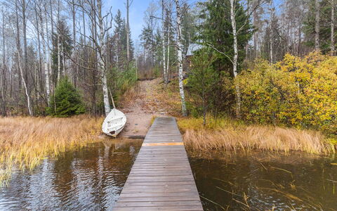 Mirus: Træ, Sommerhus, Bjælkehytte, Skov, Skur, Garden Bygninger, Lærk, Woodland, Bejdse