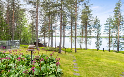 Järvelä: Græs, Grøn, Busk, Have, Landskab, Land Lot, Bunddække, Forår, Landscaping