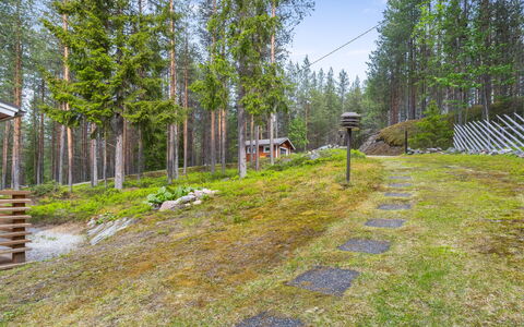 Järvelä: Vegetationen, Naturlige Landskab, Skov, Busk, Plantesamfund, Landskab, Lund, Bunddække
