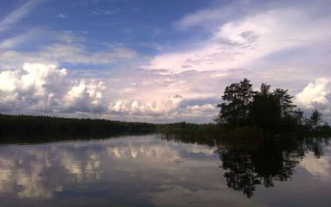 Elsanranta: Vandvej, Bank, Vandløb, Sø, Sommerhus, Skov, Kanal, Reservoir, Bjælkehytte