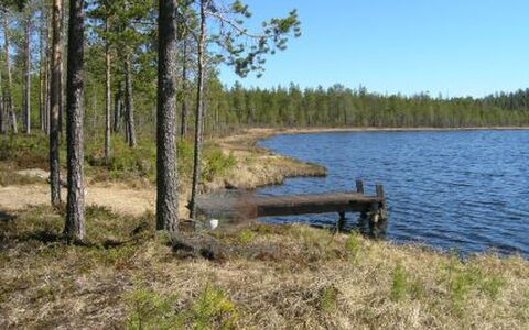 Akanlampi: Græs, Hus, Sommerhus, Land Lot, Hjem, Estate, Lawn, Sidespor, Stuehus, Veranda