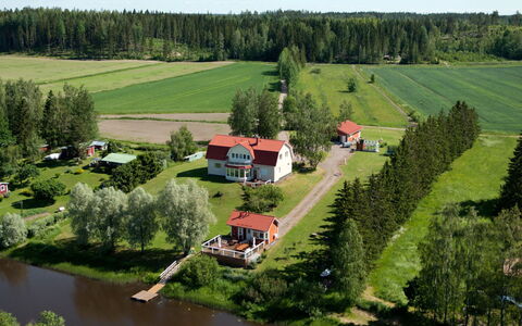 Mustijoenranta: Træ, Bank, Hus, Sommerhus, Sø, Dam, Skov, Bjælkehytte