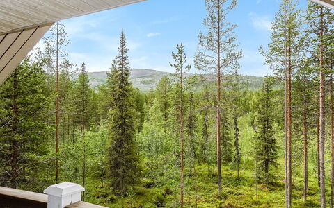 Kiela 1: Træ, Sommerhus, Bjælkehytte, Skov, Skur, Garden Bygninger, Lærk, Woodland, Bejdse