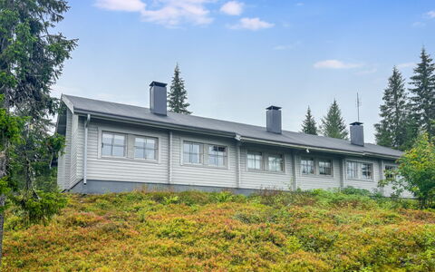 Lupposyöte B1: Sommerhus, Hældning, Lærk, Evergreen, Pine Family