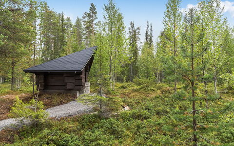 Päivänsäde 8 Lapinkulta: Træ, Arkitektur, Tag, Hjem, Hus, Sommerhus, Dør, Sidespor, Garden Bygninger, Hårdttræ