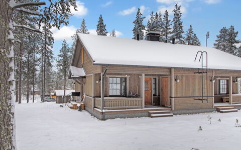 Kurunkynsi Ii: Træ, Sommerhus, Bjælkehytte, Skov, Skur, Garden Bygninger, Lærk, Woodland, Bejdse
