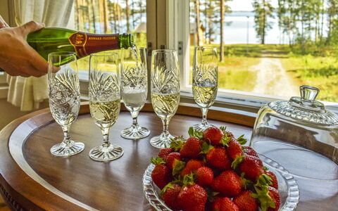Villa Kukkapää: Træ, Sommerhus, Bjælkehytte, Skov, Skur, Garden Bygninger, Lærk, Woodland, Bejdse