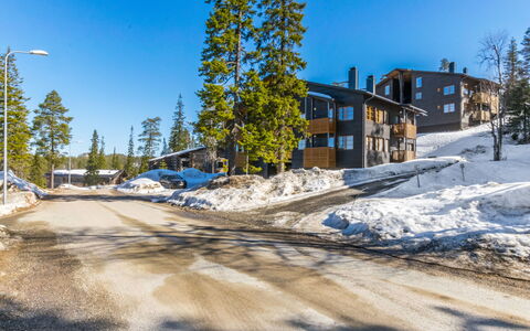 Karhunvartijan Linna C22: Træ, Sidespor, Sommerhus, Hus, Hjem, Planke, Garden Bygninger, Bjælkehytte, Hårdttræ, Veranda