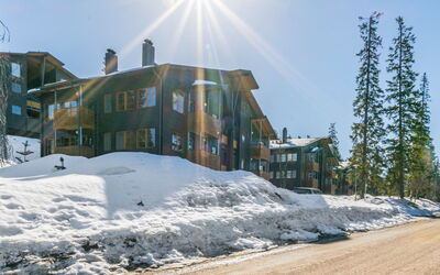 Karhunvartijan Linna C22