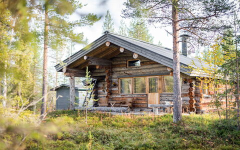Kelosaajo: Sommerhus, Hus, Hjem, Garden Bygninger, Sidespor, Bjælkehytte, Stuehus, Estate, Skur, Gård