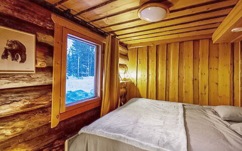 Kelosaajo: Sommerhus, Hus, Hjem, Garden Bygninger, Sidespor, Bjælkehytte, Stuehus, Estate, Skur, Gård