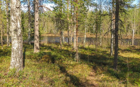 Kulpakko 3: Sommerhus, Hus, Hjem, Garden Bygninger, Sidespor, Bjælkehytte, Stuehus, Estate, Skur, Gård