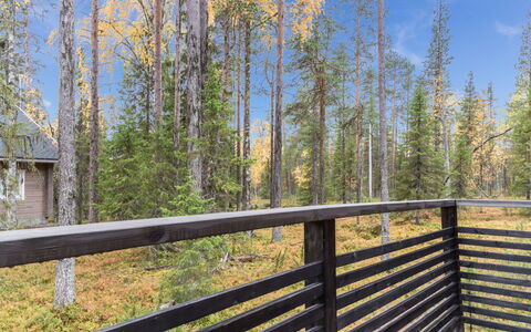 Aurinko-Saga: Træ, Sidespor, Dør, Sommerhus, Maling, Gård, Skydevindue, Garden Bygninger, Backyard, Planke