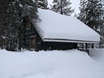 Metso Aspen