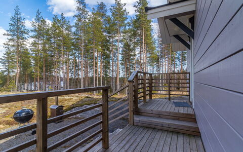 Hämyrinne: Træ, Sommerhus, Bjælkehytte, Skov, Skur, Garden Bygninger, Lærk, Woodland, Bejdse