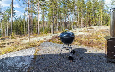 Hämyrinne: Træ, Sommerhus, Bjælkehytte, Skov, Skur, Garden Bygninger, Lærk, Woodland, Bejdse
