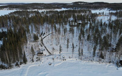 Hämyrinne
