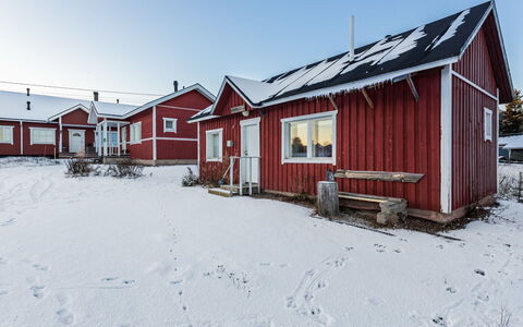 Tammukka i: Træ, Bank, Hus, Sommerhus, Sø, Dam, Skov, Bjælkehytte