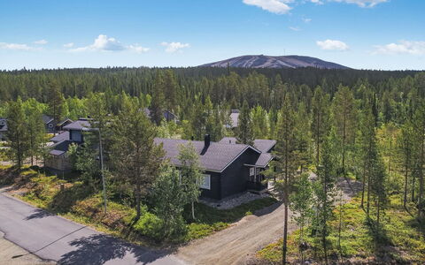 Tuulenpuuska: Træ, Landskab, Land Lot, Skov, Tag, Sommerhus, Woodland, Lærk