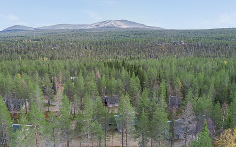 Ylläksen Tunturihonkamaja a 1: Sommerhus, Hus, Hjem, Garden Bygninger, Sidespor, Bjælkehytte, Stuehus, Estate, Skur, Gård