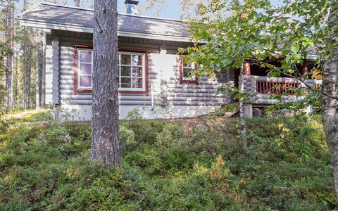 Ylläksen Tunturihonkamaja a 1: Træ, Bank, Hus, Sommerhus, Sø, Dam, Skov, Bjælkehytte