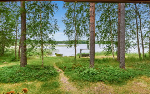 Koivuranta: Træ, Sommerhus, Bjælkehytte, Skov, Skur, Garden Bygninger, Lærk, Woodland, Bejdse