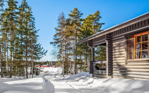 Marttalanmäki: Træ, Sne, Vinter, Træ, Sommerhus, Fryser, Hjem, Bjælkehytte, Lærk