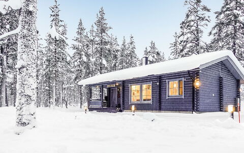 Aarrekammi: Træ, Sommerhus, Bjælkehytte, Skov, Skur, Garden Bygninger, Lærk, Woodland, Bejdse