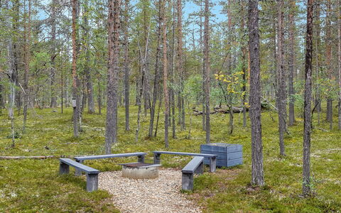 Aarrekammi: Træ, Sommerhus, Bjælkehytte, Skov, Skur, Garden Bygninger, Lærk, Woodland, Bejdse