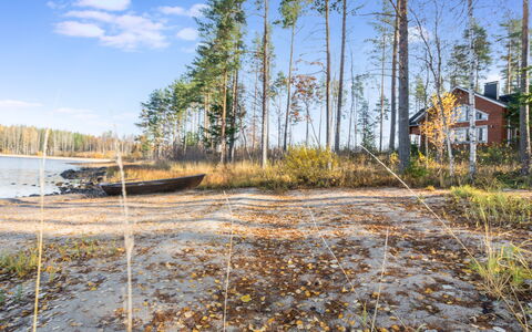 Telkkä: Træ, Sommerhus, Bjælkehytte, Skov, Skur, Garden Bygninger, Lærk, Woodland, Bejdse
