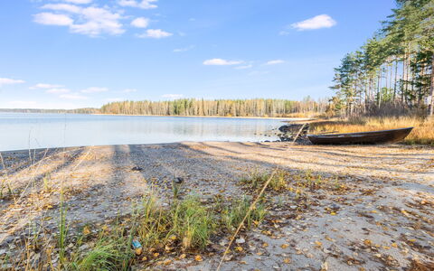Telkkä: Træ, Sommerhus, Bjælkehytte, Skov, Skur, Garden Bygninger, Lærk, Woodland, Bejdse